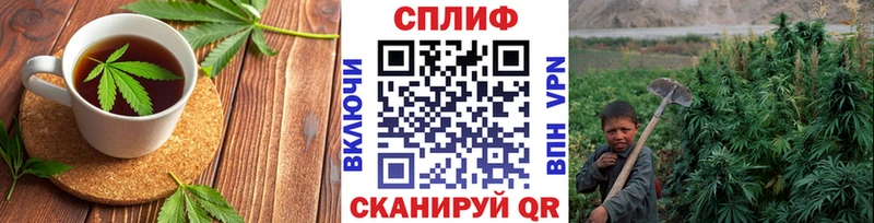 Cannafood марихуана  Новозыбков 