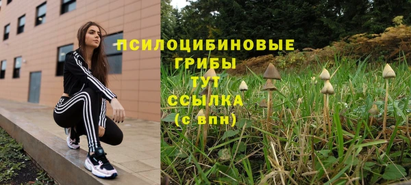 скорость Верхний Тагил