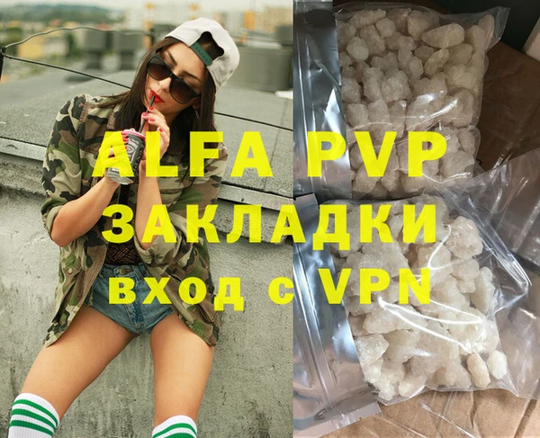 прущие грибы Верея