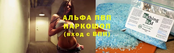 прущие грибы Верея