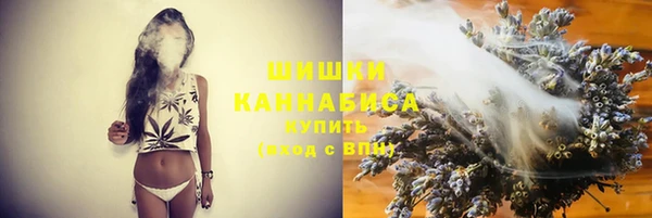 прущие грибы Верея