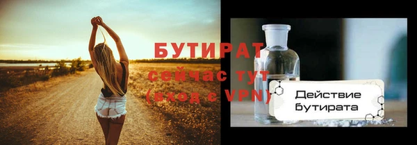 прущие грибы Верея