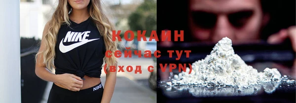 прущие грибы Верея