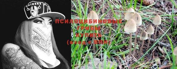 прущие грибы Верея