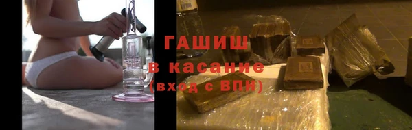 прущие грибы Верея