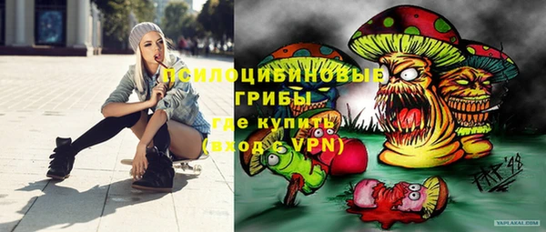мяу мяу мука Переславль-Залесский