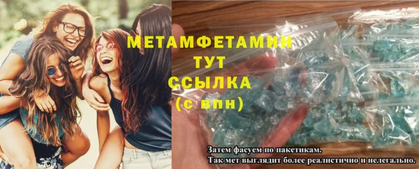 прущие грибы Верея