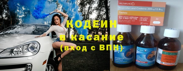 прущие грибы Верея