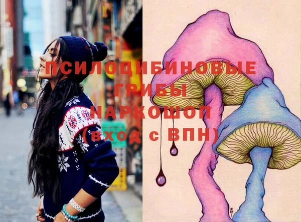 прущие грибы Верея