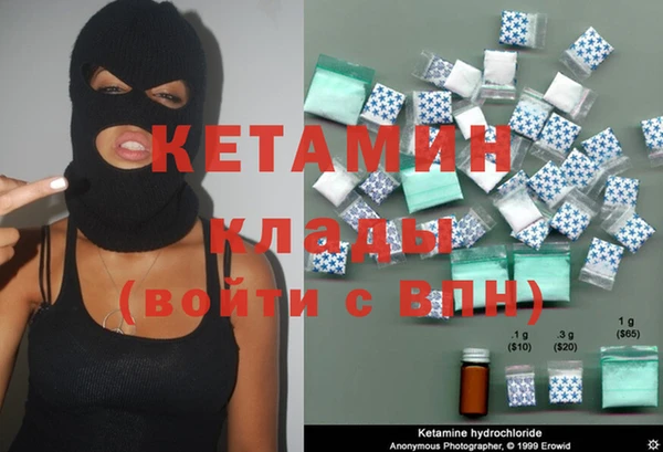 прущие грибы Верея