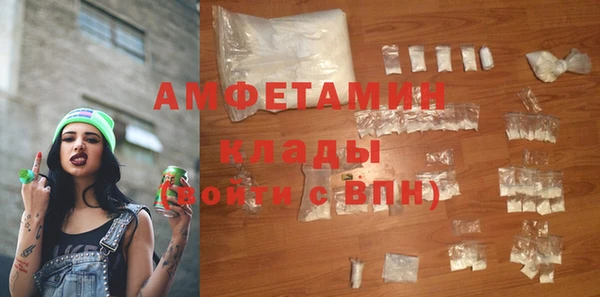 прущие грибы Верея