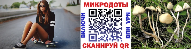 Галлюциногенные грибы Psilocybe Новозыбков