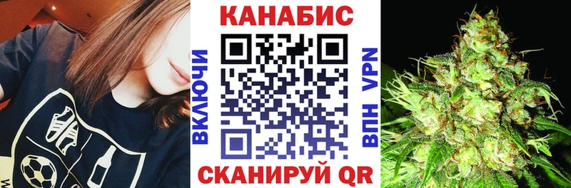 Канабис семена  купить наркотики сайты  Новозыбков 